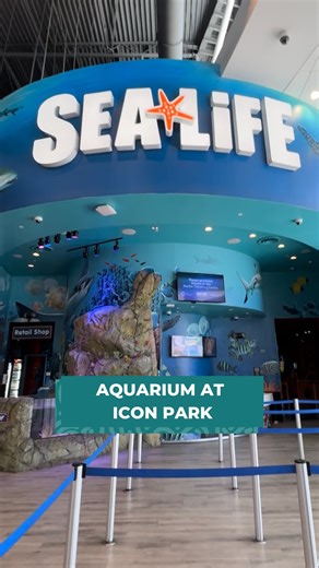 Experience Kissimmee on Instagram: "🌊 Dive into an underwater world at @sealife_orlando! 🐠 Walk through Florida’s only 360° ocean tunnel, meet sharks, sea turtles, and more! Perfect for family fun and marine life lovers! 🦈✨ 📍 @iconparkorlando - 8449 International Drive, Orlando, FL 32819 #travel #traveltips #thingstodo #experiencekissimmee #mykissimmee #mykissimmee #funactivities #familyfriendly #sealife #aquarium #orlandoaquarium #iconpark"