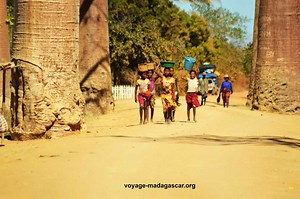 14 faits incroyables que vous ne saviez pas sur Madagascar