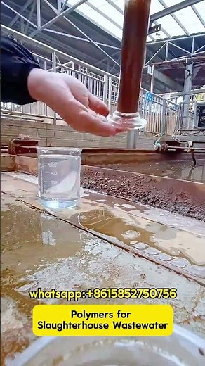 How to treat Slaughterhouse Wastewater?