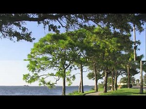 Unity Profiler Walkthrough & Tutorial | Unity