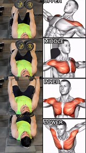 1.8M views · 8.8K reactions | ✅ Dumbbell Chest Workout• Reverse Grip Bench Press• Bench Press® Close Grip Bench Press @ Decline Bench Press3 sets 10 reps #fitness #gym #exercise #workout #workoutroutine #exercisetips #fitnesstips #bodybuilding #chestday #strong #motivation #inspiration #fitnessjourney #lifestyle #healthy | Sidfitfacts | Facebook