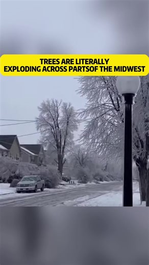 trees are literally exploding across parts of the Midwest#news #fyp #breakingnews #us #tree