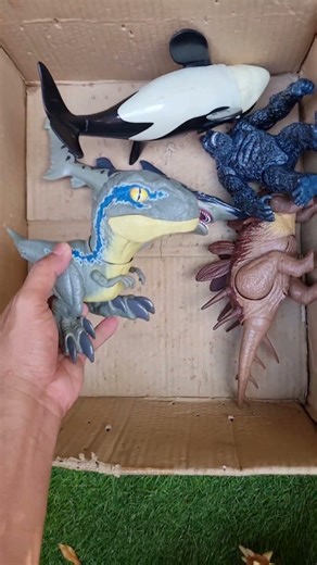 Hunting Jurassic World Toy Dinosaur Collection ASMR