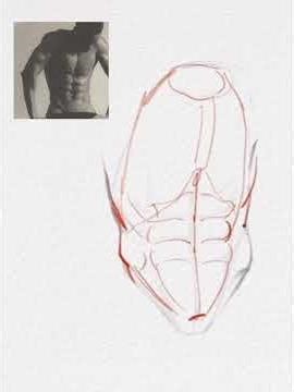 你的線條像被刀拉過？來學學「自如」的筆觸怎麼練！ #anatomy #平衡感訓練 #art