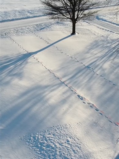 Snow Blower vs. Front Loader Time Challenge with John Deere 755