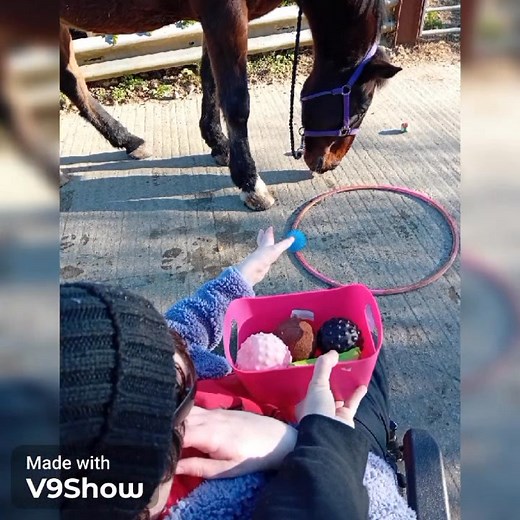 13 reactions | Beach days, horsey hugs, games and above all, smiles 殺 #equineassistedactivity #eaal #horseshoes #beachdays #smiles #games | The Bannow Bay Equine Assisted Activities & Learning | Facebook