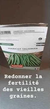 Rendre fertiles les vieilles graines. #astuce #semis