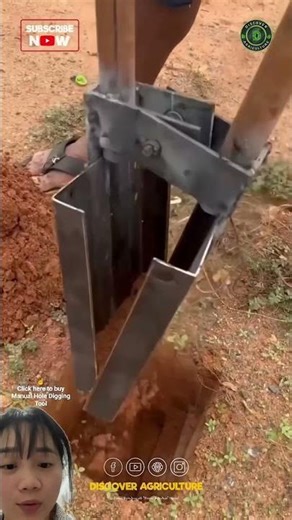 Tools for digging holes to plant trees in China.