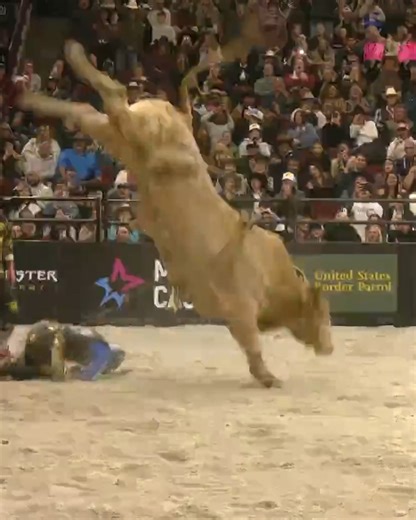 Counting down the top rides of UTB Chicago this weekend! | PBR