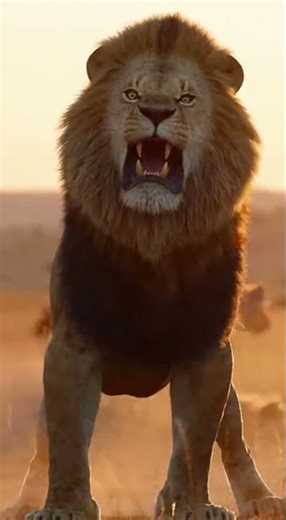 Lion King vs Hyena Pack Last Second Cub Rescue