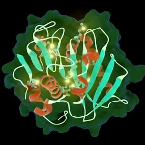 11K views · 210 reactions | Plastic could be a problem of the past,...