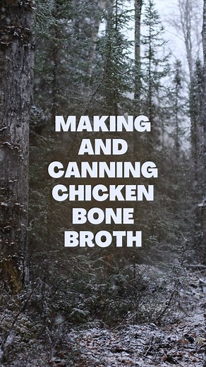 75K views · 20K reactions | Broth is a staple in our home, we use it very often for a wide variety of things and we were running low! I’m so happy I saved all the bones and scraps so I could stock us up midway through winter! #chickenstock #bonebroth #chickenbonebroth #canning #cannedfood #cannedmeat #cannedchicken #alaska #offgridalaska #offgrid #selfreliance #woods #tinyhouse #fyp #lifeoffgrid #outlawcanner | Fiddleheadsacres | Facebook