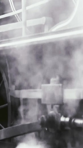 Música Variada on TikTok