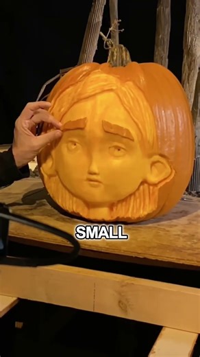 Creative Stop Motion Animation!😲😱(@samplertimes )