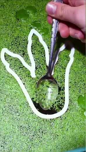 Jurassic Park Portal 🦖 | Aquarium Info