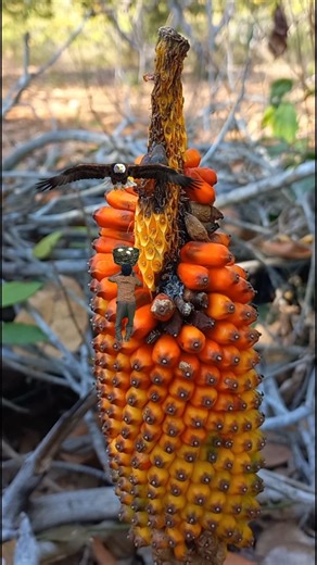 creative videography tutorial #edit #funny #magic #shorts #shortvideo