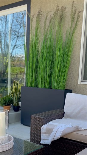 1.2M views · 13K reactions | https://urlgeni.us/amzn/Tallgrassplanter ❤️These planters and tall grasses add so much to any outdoor space! Use to create a privacy screen…Or add organic detail to any blank space! (Like this ugly wall!)How would you use it? #amazonfind #amazonhome #amazonmusthave #outdoorliving | The Design Twins | Facebook
