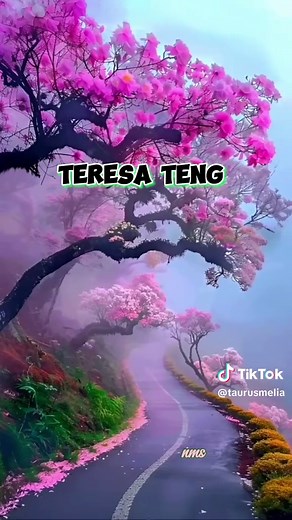 Teresa Teng's Best Songs Collection