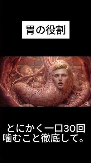 胃の役割