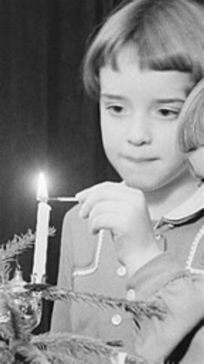 Where did Christmas Trees originate?🎄 #ExpeditionUnknown | Discovery Channel UK