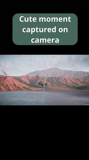 Nuclear Option Game Update: Explore VL-49 Tarantula