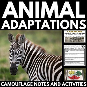 Animal Adaptations Unit - Camouflage Activities - Adaptations Animal Inquiry