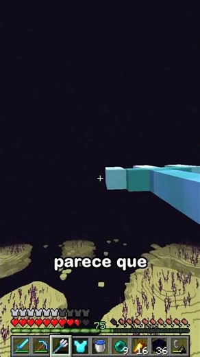 Buscando elytras en el end ⚡️