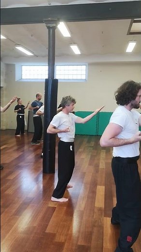 Practice of the 1st form in Wing Chun: Shil Lim Tao