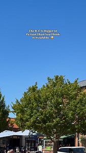 The B-17 Flying Fortress Is Actually Massive In Person When You See One.. #b17 #b17flyingfortress #usaf #usairforce | CA Aviation