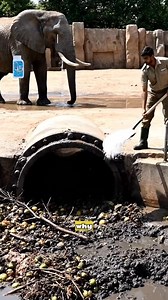 812K views · 3.7K reactions | Not gonna lie—my pipe was so clogged it sounded like it was trying to speak. LIAPU shut that conversation down  #finds #viralproduct #ShopHolidayHaul #HolidayHaul #MoodDownerGone | dphwc3111 | Facebook