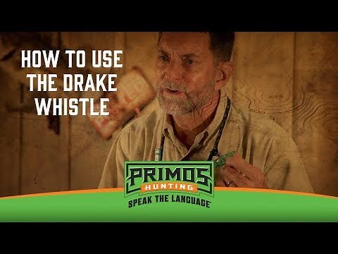 The Drake Whistle