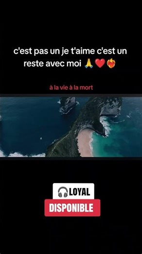 Octave studio - loyal