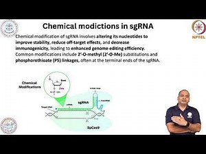 "CRISPR-Cas9 sgRNA and it’s modifications for gene editing"