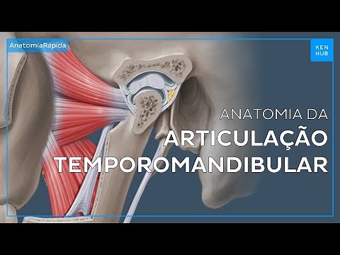Articulação temporomandibular (ATM): Anatomia e funções - Anatomia Fácil | Kenhub