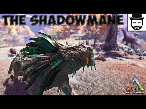 How To Tame The Shadowmane (A Complete Guide)