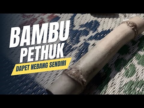 UNTUK Jimat Sabung Ayam Selalu Menang