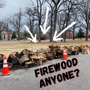 3.9K views · 35 reactions | More Free firewood will be available on a first-come first-serve basis near the Kingshighway Entrance. All wood comes from the removal of dead or structurally damaged trees from Tower Grove Park and will be available during Park hours. Daily wood supply is not guaranteed. *No phone calls needed | Tower Grove Park | Facebook