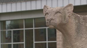 Misericordia University To Add Men's Ice Hockey In The Fall Of 2024