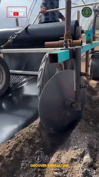 31K views · 34 reactions | Introducing the simple agriculture...