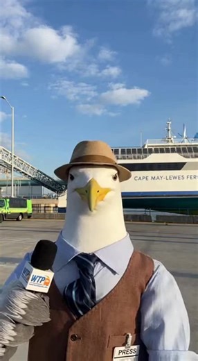 The Cape May Lewes Ferry is going green. Read all.about it at watchthetramcarplease.com | Watch The Tramcar Please