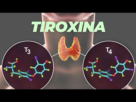 Tiroxina ¿sabes qué es y para qué sirve?