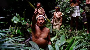 LiDAR reveals a 2,500-year-old urban network in the Amazon