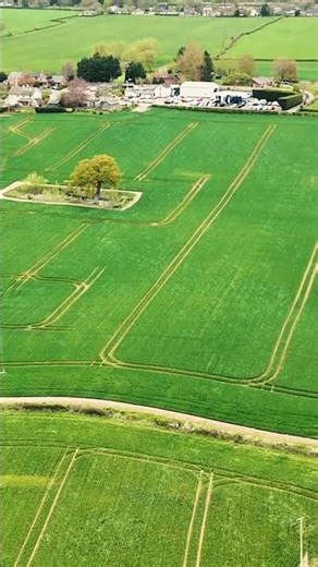 Looking for patsy the lost dog credenhill area #shorts