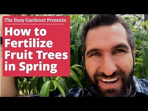 How to Fertilize Fruit Trees in Spring - Back Yard Orchard (4th season)