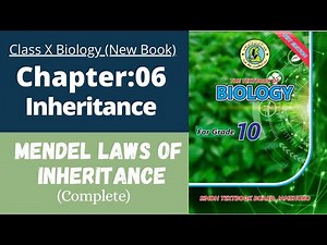Ch 6 Inheritance | Mendel laws of inheritance | Class 10 New biology book | Sindh board