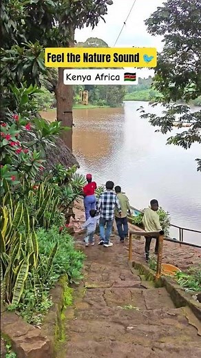 📍Kiambu County 🇰🇪♥️ #kenya #nature #birds #naturesounds #waterfall #funnyexpression #viral #travel
