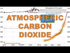 Changes in carbon dioxide concentrations over time