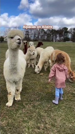 Best Spring Break Activities for Families in New Jersey 💯