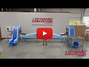 Custom Conveyor System for Food Snacks Dynamic Conveyor Solutions for Food Processing