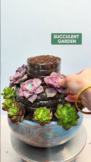 Amazing Succulent Ideas with Recycled Plastic Bottles!